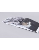 Photobook BASIC 20x20
