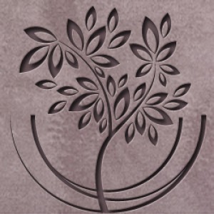T1