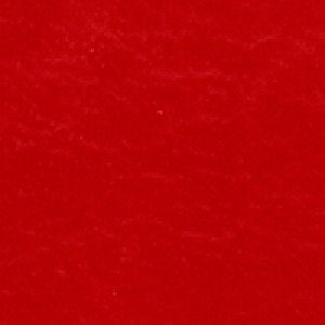 eco leather F2