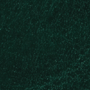 eco leather G2