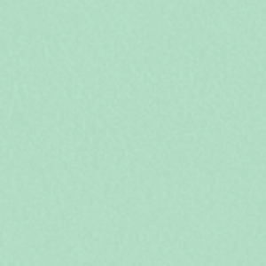 eco leather J49 Pastel mint