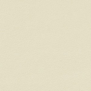 eco leather C16