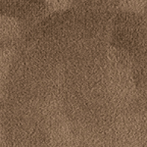 velvet V8 Cocoa color